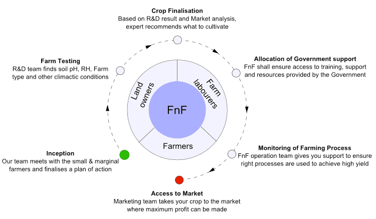 FnF working model