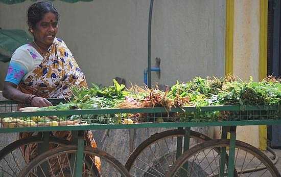 vegetable cart blr type1