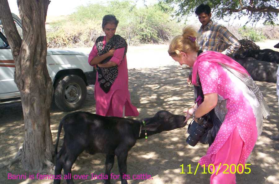 a guest playing with a goat in Hodka