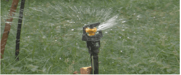 gewp sprinkler