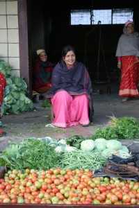 polak IDE Nepal Vegetable Collection Center 200x300