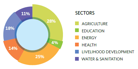 intellecap socent by sector